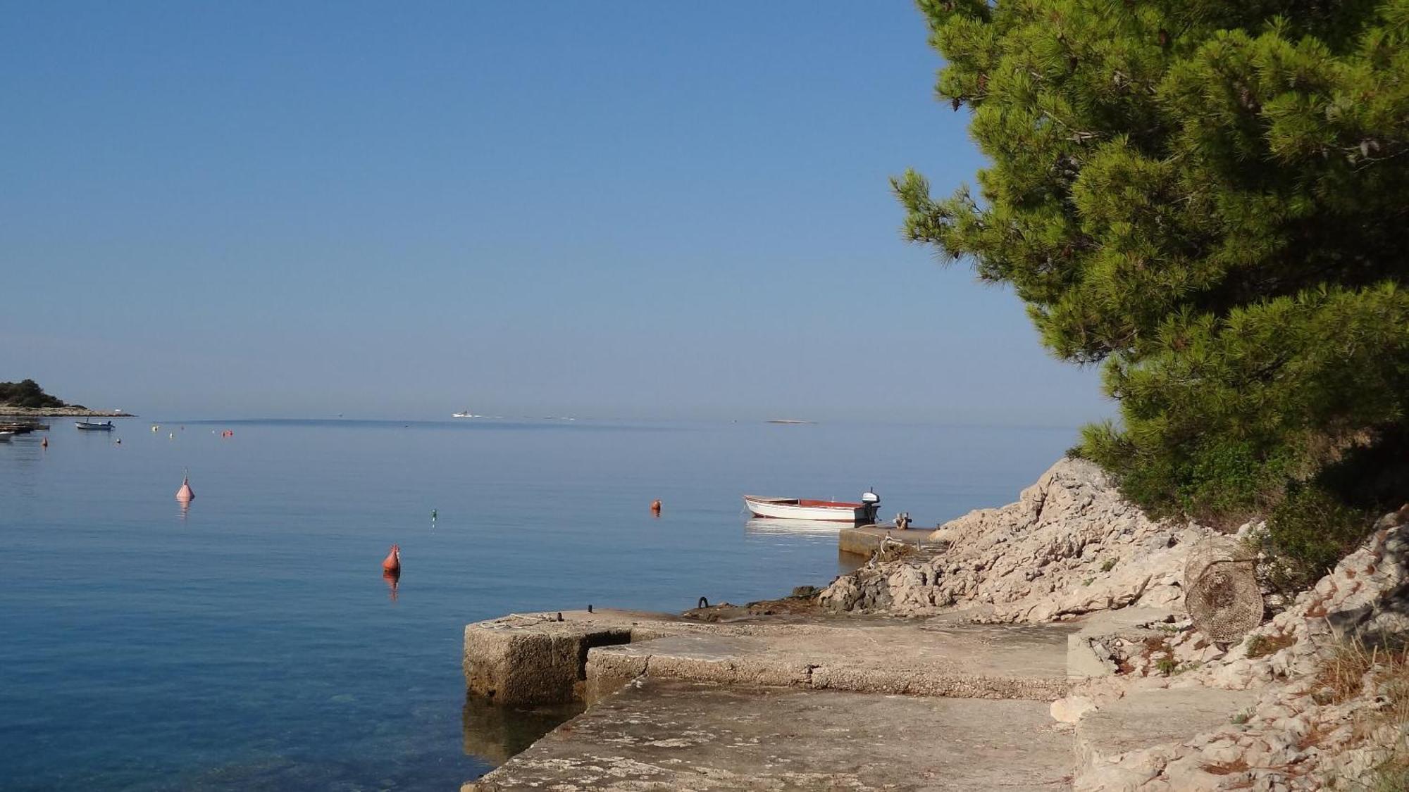 Apartments Branka - 30 M From Beach سيفيد المظهر الخارجي الصورة